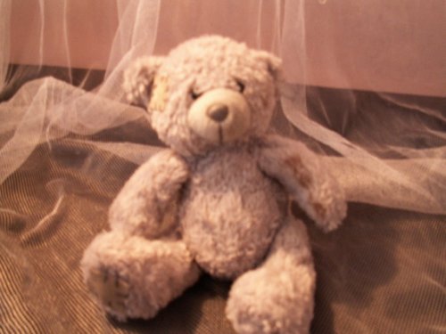 Plysovy medvedik Teddy... Hrala som sa s fotakom...