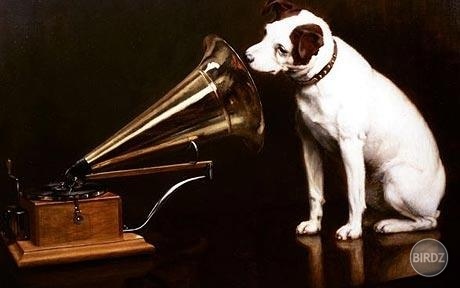Nipper The Dog !!! proste , borec