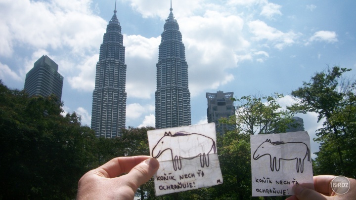 A obaja konikovia su tento rok v Kuala Lumpur :) @acvd43xa7w