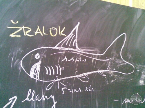 keď sa žralok zmení na ozubenú piškótu,je čas zamyslieť sa nad tým, kde sa práve
nachádzate alebo verné znázornenie morského dravca...=D
