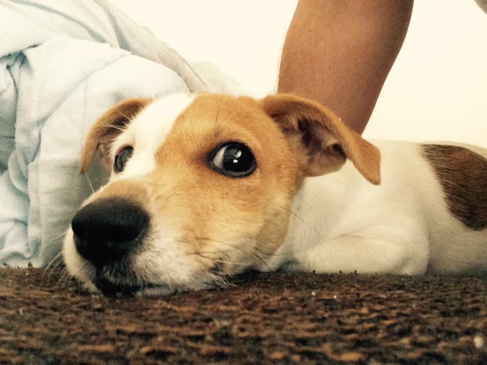 <3 