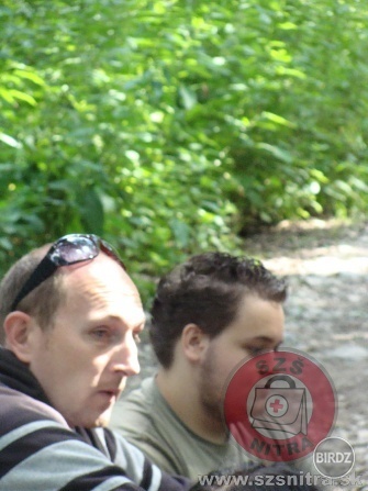 Obrázok