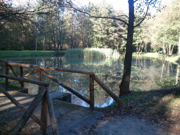 Obrázok