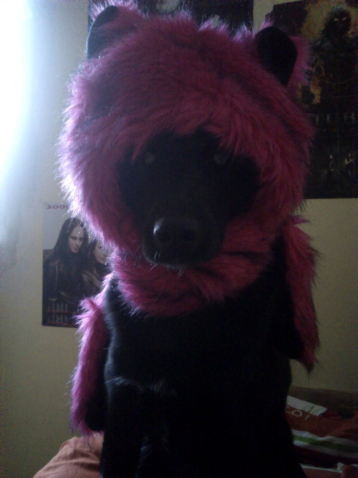 Tessynka prichystaná na tuhú zimu! :3 <3