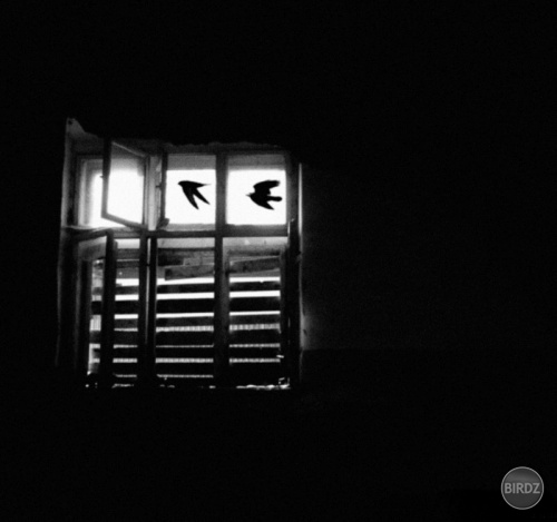 Window in the skies