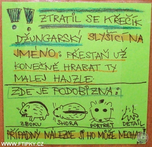 hľadá sa...