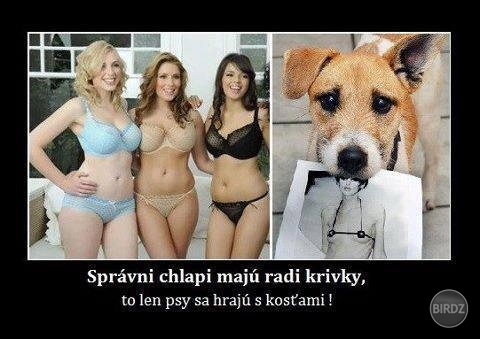 neodolala som a musela som! a je to pravda a amen.