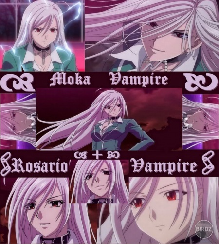 moka-sanvampirestealplupetite