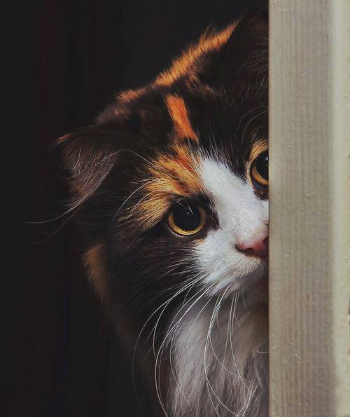 kuk ^___^