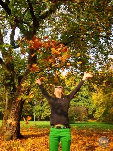 Obrázok