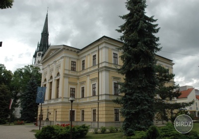 Radnica