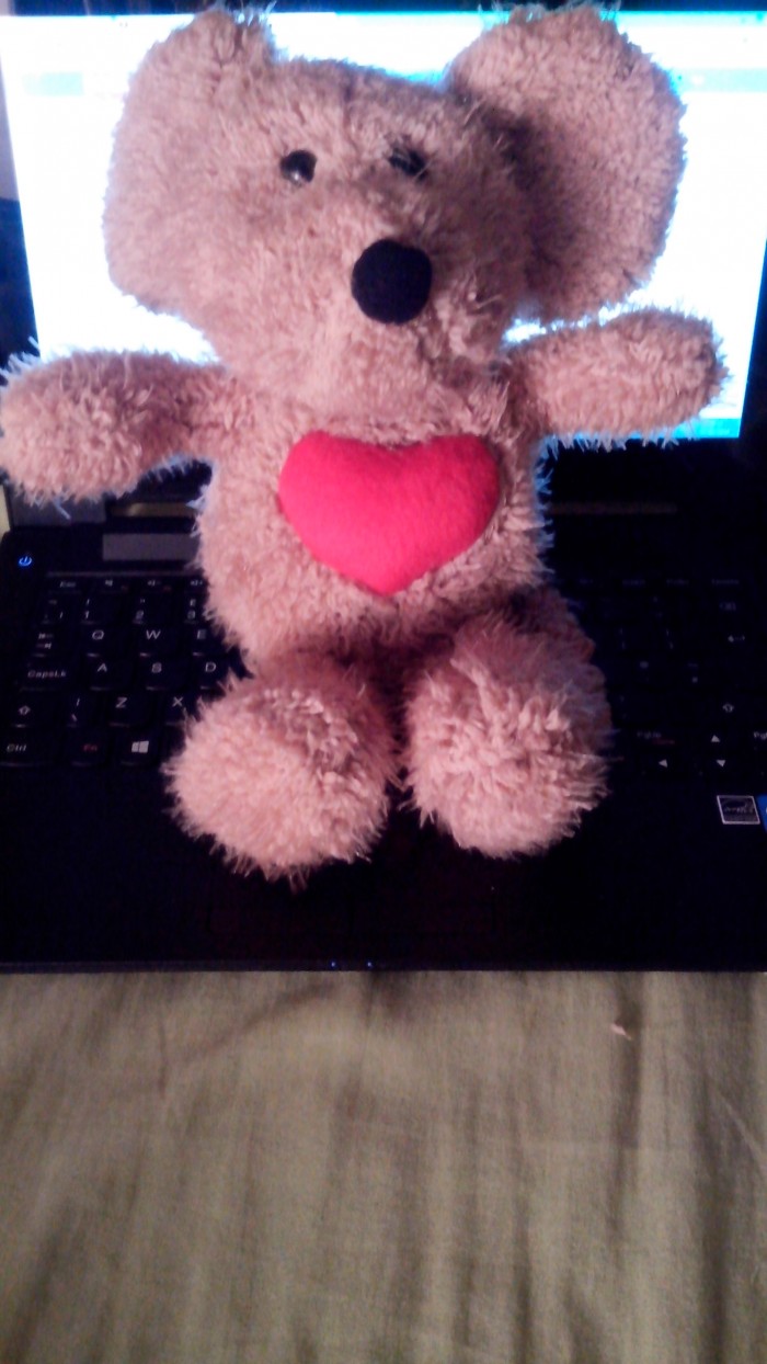 Dostal som mysku,mam rad mysku,mam rad plysaky,chcem plysaky,chcem vsetky plysaky :D
