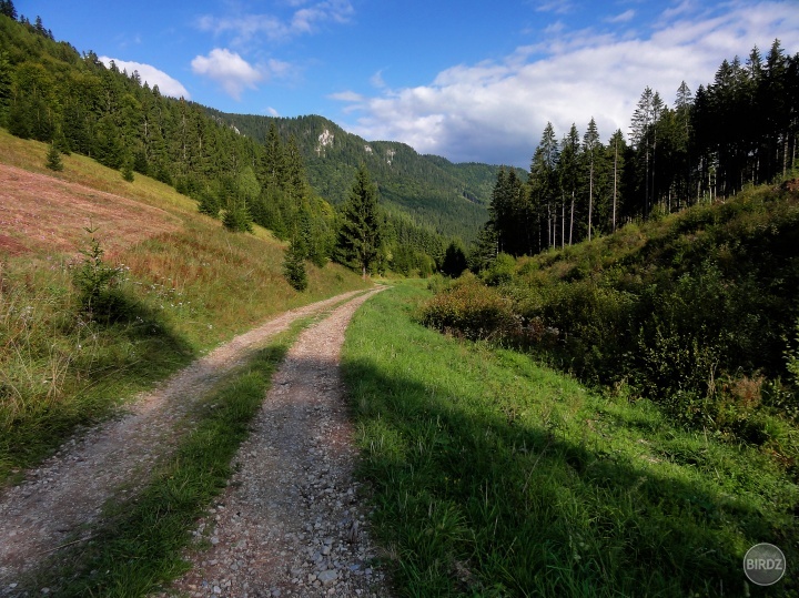 Dolina pod Stožkami