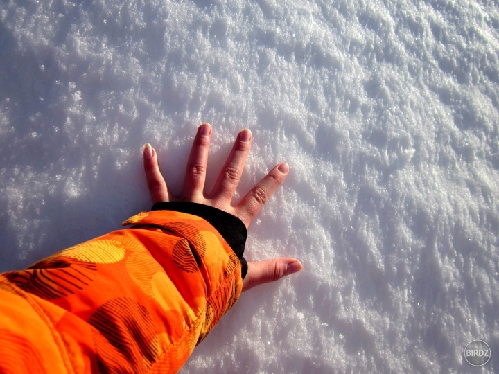 2.februára so smútkom konštatujem: UŽ CHCEM JAR!!! :D