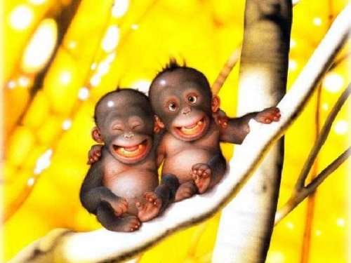 Monkey