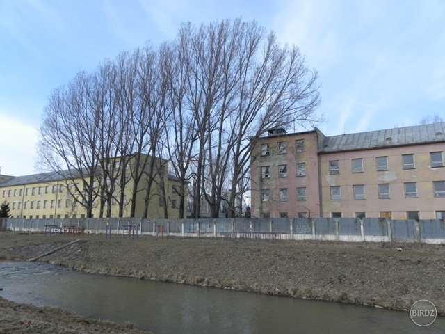 alej2