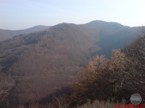 Obrázok
