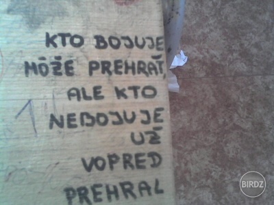 Obrázok