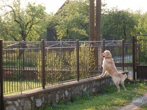 Obrázok