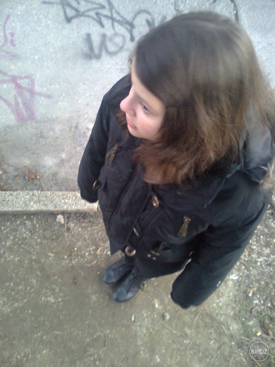 Obrázok