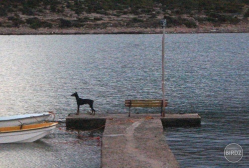 Obrázok
