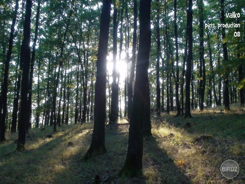 Obrázok