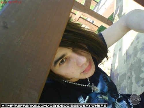 leto 2008 :D