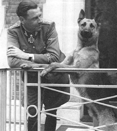 Obrázok