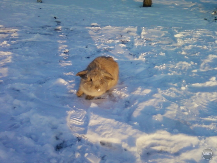 ale dnes svietilo aj slnko :)