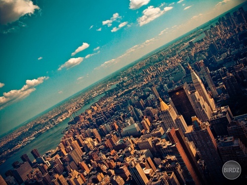 I ♥ NY