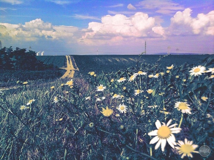 Obrázok