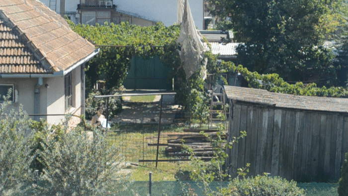 5.gif