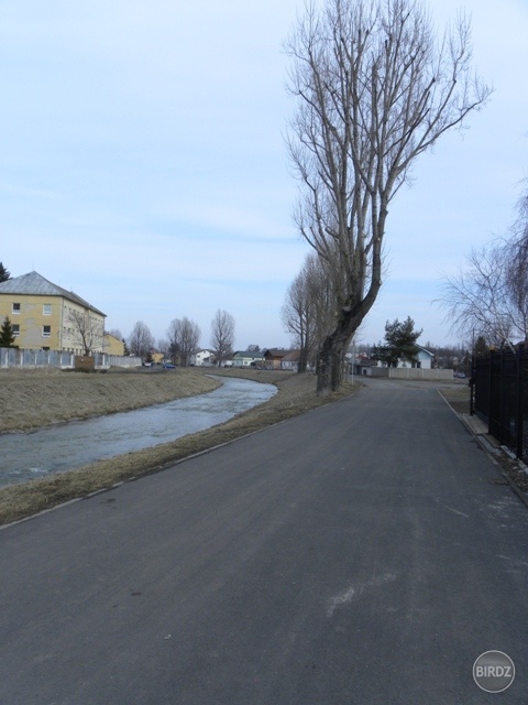 alej