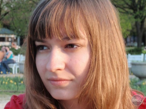 Obrázok