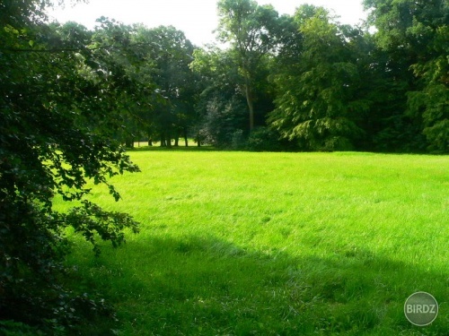 Obrázok