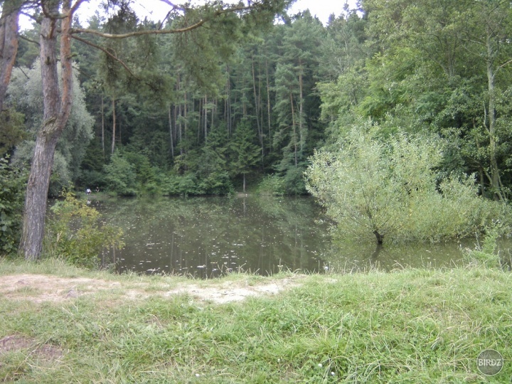 Obrázok