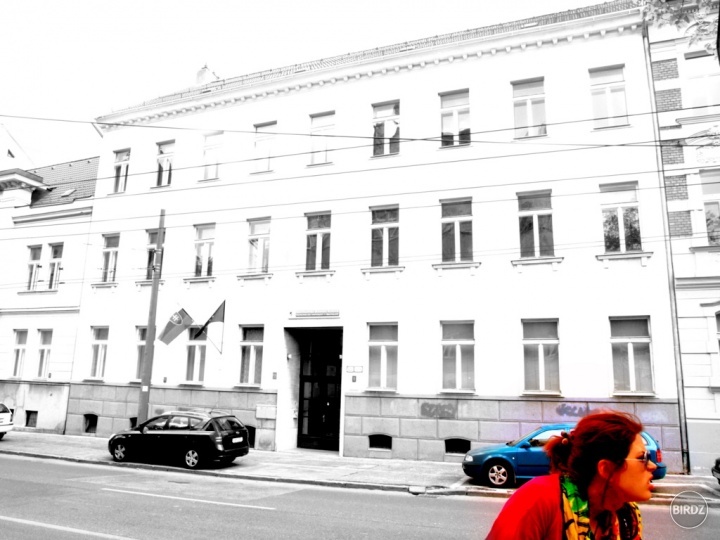 Obrázok