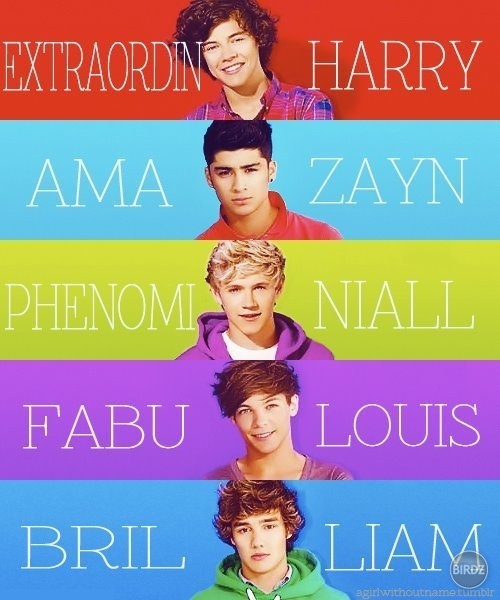 podla abecedy:
Harry Styles
Liam Payne
Luis Tomlinson
Nial Horan
Zayn Malik                              :D:D:D