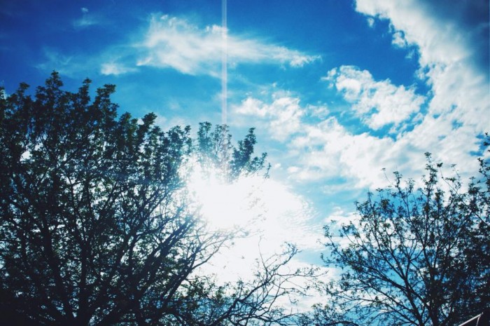 It´s Earth day today! 