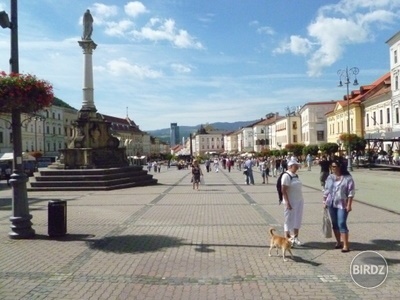 Obrázok