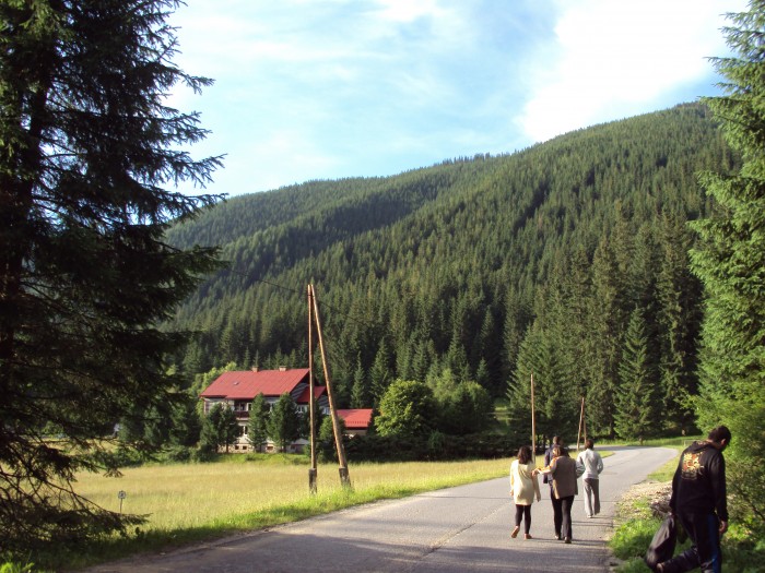 Obrázok