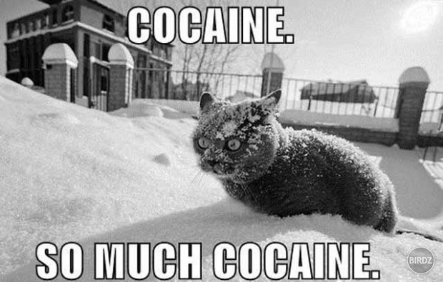 Cocaine !!!!!