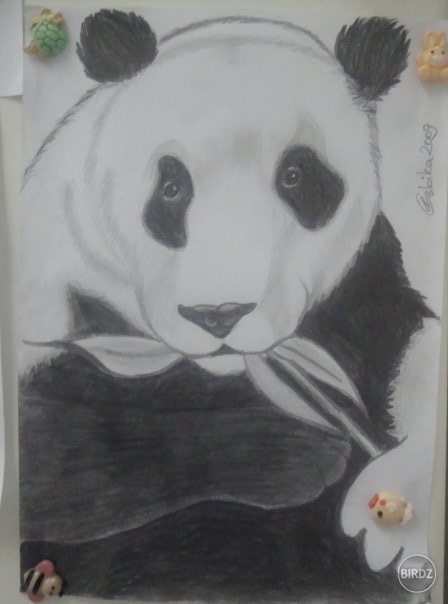 Panda