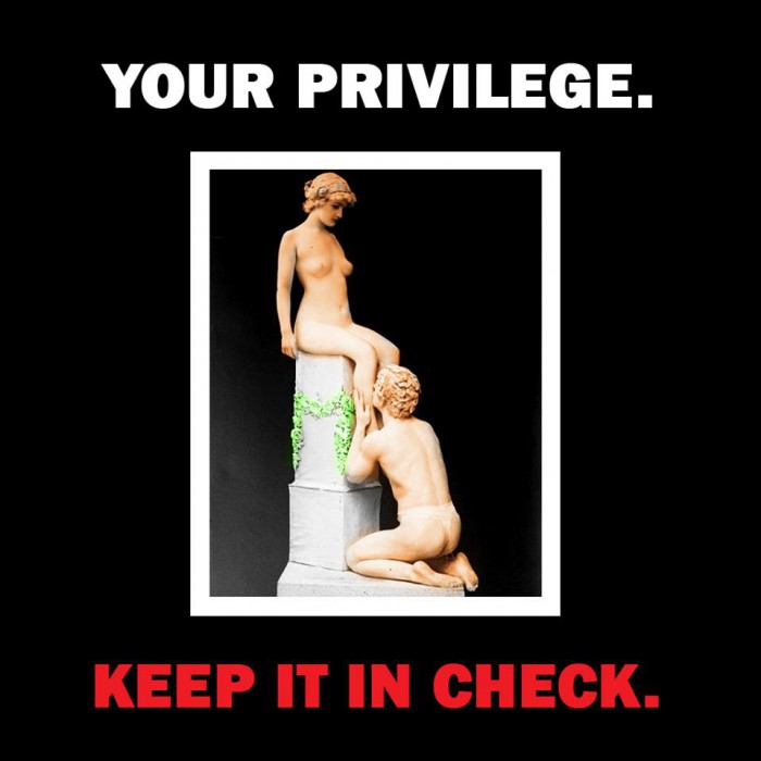  check yo privilege: 11/10 would recommend