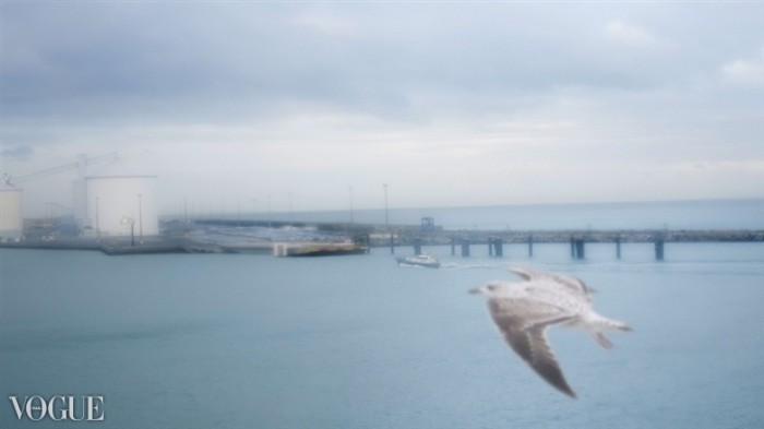 -Gull and Atlantic-

moje portfolio na FB:

https://www.facebook.com/lukasduranphoto