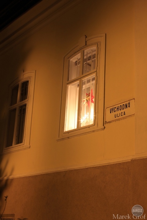 Obrázok