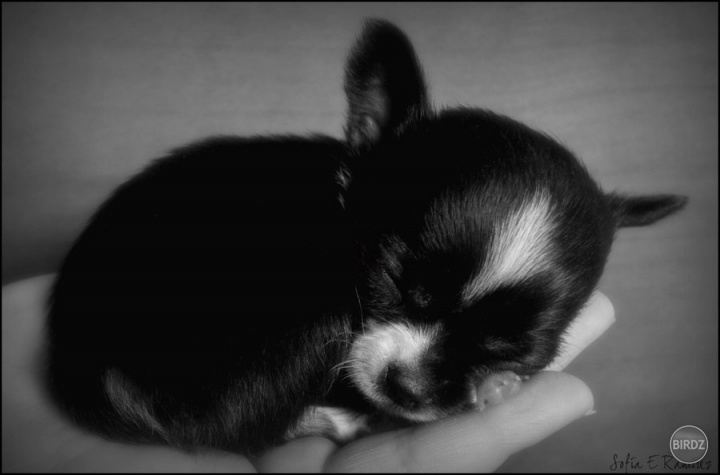 ňuňuňu :* ♥