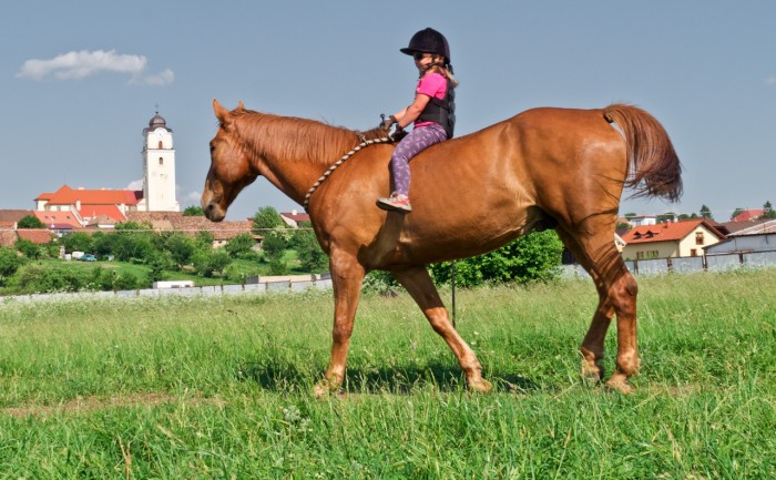 Trénujem, trénuješ, trénujeme <3 (hrdá trénerka)