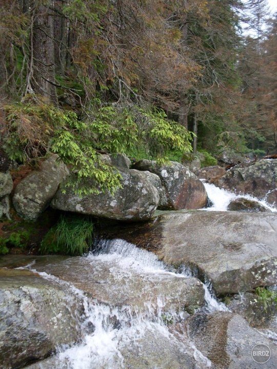 Obrázok