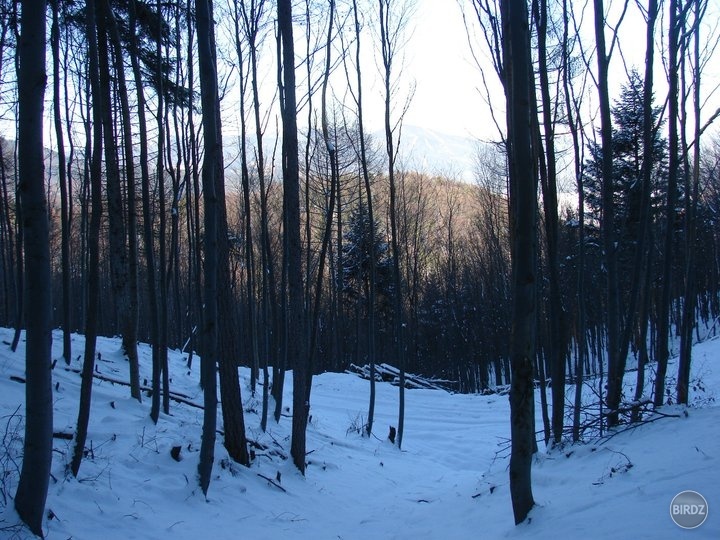 Obrázok